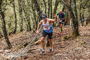 Trail Des Cèdres 2023 (Edition 14)